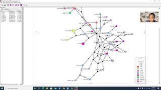 Haplotype Network using POPART Tagalog [upl. by Badger]