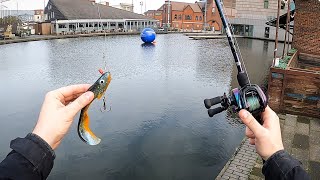 InnerCity Pike Fishing 🇬🇧🐊 [upl. by Lomaj]