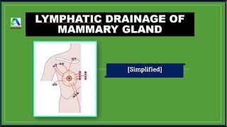 Upper limb Regions  Pectoral Region  General Anatomy of breast [upl. by Ignacia152]