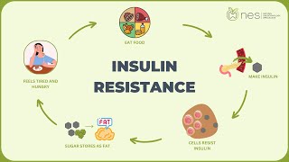 Insulin Resistance [upl. by Nathanson]