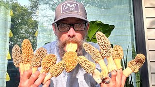 MONSTER MAY MOREL MUSHROOM HUNTING Indiana2023 [upl. by Doner]