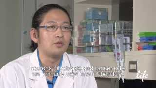 Taisuke Tomita PhD loves Lipofectamine® 2000 [upl. by Latif]