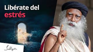 ¿Cómo gestionar el estrés  Sadhguru Español voz doblada con IA [upl. by Alliw]