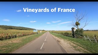 ChambolleMusigny 🇫🇷 Crossing the most beautiful vineyards of France  Driving in Bourgogne [upl. by Faro174]