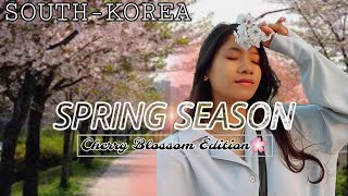 Cherry Blossom Adventures in Korea with Friends 🌸 [upl. by Einalem]