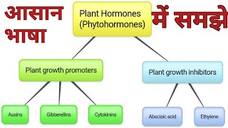 plant hormones।plant growth promoters। plant growth inhibitors। [upl. by Repsihw387]