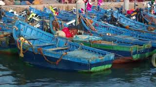 Essaouira traditional fishing port – wooden boats fish nets repaired and seagulls [upl. by Airdnahs]