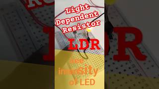 LDR ldr resistors ldrsensor basicelectronic electroniccomponent [upl. by Woodman676]