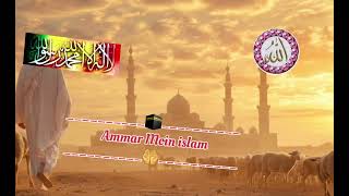 Rabi ul avval Naat 2024  Aap Per salam Qaseeda Ammar Moin Islam [upl. by Yrogerg]