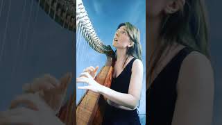 quotCloudbustingquot Kate Bush Harp Cover [upl. by Cantone]