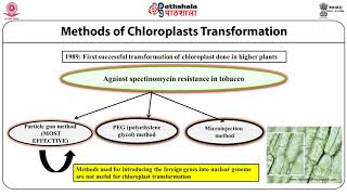 Chloroplast Transformation II [upl. by Llehsram]