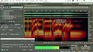 Adobe Audition  Change Pitch [upl. by Trevah]