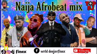 LATEST AFROBEAT MIX 2023  NAIJA BEST OF AFROBEAT 2023 BY DJ FINEX [upl. by Finkelstein776]