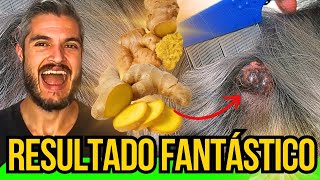 RAIZ NATURAL CURA CÃES COM VOMITO ENJOO CÂNCER E PROBLEMAS NO FIGADO CACHORRO COM DIABETES E OBESO [upl. by Adiari34]