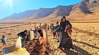 quotSowing Prosperity Tilling WheatPlanting and Nurturing Sheep in the Nomadic Familys Journeyquot [upl. by Pesek]