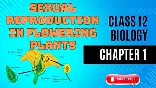 Class 12th BIOLOGY  CHAPTER 1  Sexual Reproduction in flowering plants  ONE SHOT std12biology [upl. by Yeo427]