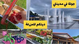 حياتي في كندا 🇨🇦 فلوك نهار كامل🌸شريت خضر طرية من المزرعة✔️جولة في مدينة ليفي Lévis Québec [upl. by Albric]