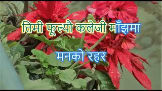 Rato Rani Phoole Jhai Sanjh ma रातो रानी फूले झैं साँझमा Karaoke with lyrics [upl. by Susej]