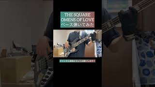 OMENS OF LOVE  THE SQUARE 【ベース弾いてみた】 shorts ベース bass basscover tsquare [upl. by Terri]