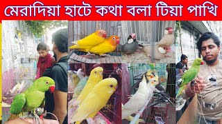 মেরাদিয়া পাখির হাট  Cockatiel bird low price  Parrot price in Bangladesh  meradia pakhir hat [upl. by Ynaoj842]