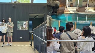 Girls Generations Sooyoung amp Jung Kyung Ho Spotted On A Date At Sydney Zoo [upl. by Ciaphus]