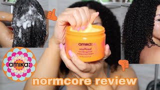 Testing Out Amika Normcore Products On 3c4a THICK Curly Hair  Is It Worth It [upl. by Lsil]