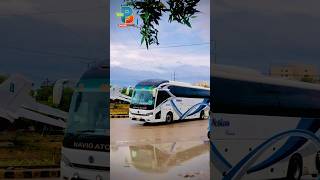 Nosheen Coach Navigator Bus busespoint navigatorbus nosheencoach foryoupage viral trending [upl. by Yenmor265]