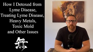 How I Detoxed from Lyme Treating Lyme Heavy Metals Toxic Mold and Other Issues [upl. by Mindy571]