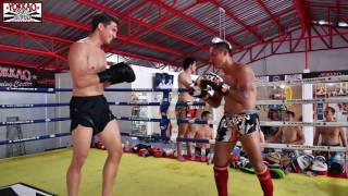 Muay Thai Sparring Saenchai vs Antoine Pinto  YOKKAO Training Center Bangkok [upl. by Androw]