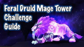 Feral Druid Mage Tower Artifact Challenge Jessiehealz [upl. by Keynes]