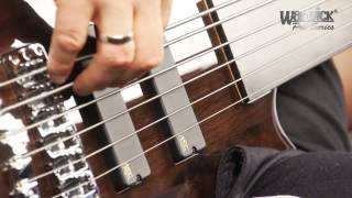 The Pro Series Streamer LX 6String Fretless  with Andy Irvine [upl. by Felisha]