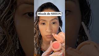 Blush de Shein [upl. by Collins570]