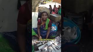 Airoli Fish Market  Airoli Sector 9 Fish Market  Fish Curry  Fish Market Navi Mumbai  Airoli [upl. by Yve]