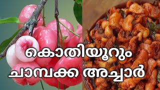 Chambakka Achar കൊതിയൂറും ചാമ്പക്ക അച്ചാർ  Easy Rose apple achar [upl. by Nhepets998]