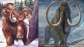 Mammuthus Woolly Mammoth  Prehistoric Elephant [upl. by Hauger]