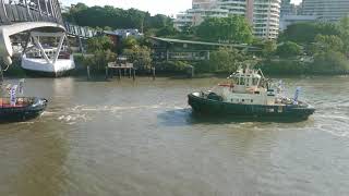 2 Tugboats on the Brisbane River at South Bank and sounding their horns [upl. by Fancie155]