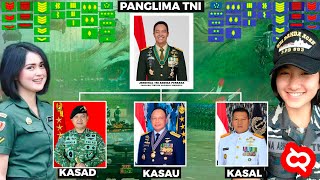 Jenjang Karir TNI  Pangkat Jabatan Tugas dan Besaran Gaji Tentara AD AU dan AL Republik Indonesia [upl. by Belda]