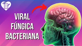 MENINGITE  Sintomas Transmissão e Tratamento [upl. by Annaik438]