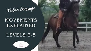 Western Dressage Movements Explained Levels 25 [upl. by Remo]