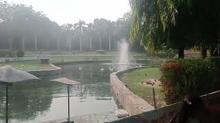 National Zoological park delhi 🏞️🦚🦤🐔🦤🐔🦅🐔🦅🐔NZP ZOO GHAR [upl. by Amerak]