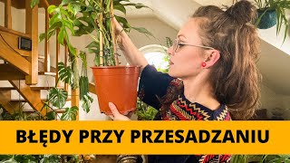 20 Najczęściej popełnianych błędów przy PRZESADZANIU domowych roślin doniczkowych 🌱 Vlog [upl. by Harlan]