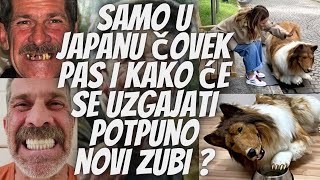 Samo u Japanu Čovek  pas i kako će se quotuzgajatiquot potpuno novi zubi [upl. by Moyna]