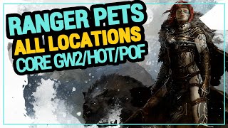 GW2 RANGER PETS ALL LOCATIONS  CORE Guild Wars 2  HOT  POF [upl. by Veats]