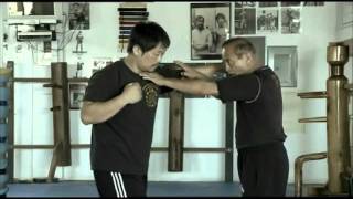 From Ip Man to Bruce Lee [upl. by Lanti603]