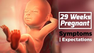 29 Weeks Pregnant Baby Development  Care Tips For Pregnant Lady [upl. by Angadreme]