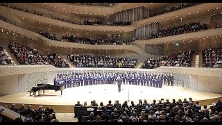 Die Regensburger Domspatzen singen in der Elbphilharmonie  Mittelbayerische Zeitung 23102018 [upl. by Beisel]