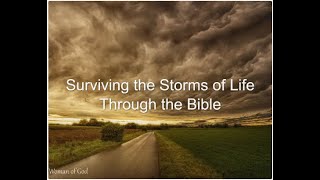 Surviving the storms [upl. by Lillis]