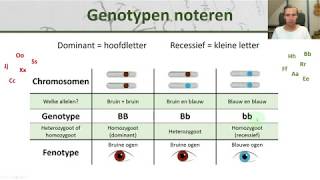 Bio  Genotype noteren dominant en recessief  Erfelijkheid 1 [upl. by Vicki]