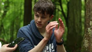 Ravensdale Forest Documentary Irish Nature Health amp Wellbeing [upl. by Negaet]