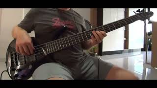 bass collection emg 40dc RHCP soul to squeeze [upl. by Inaej112]